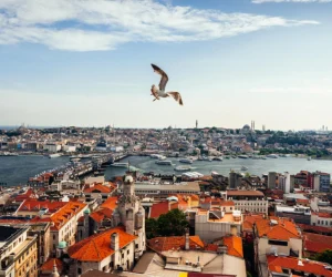Istanbul - Medina Travel